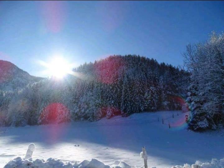 Ferienwohnung Frieda Inzell Exteriér fotografie